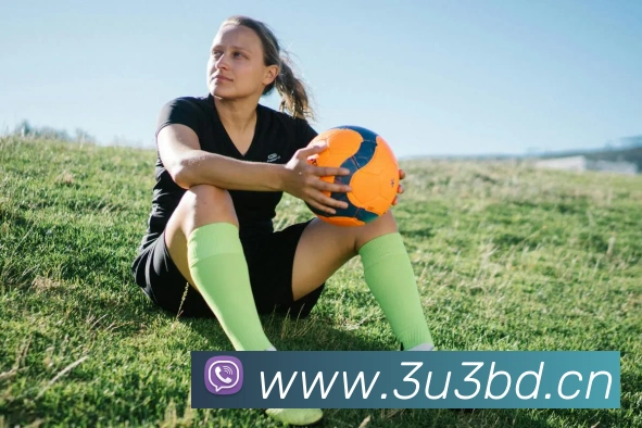 乐鱼官方体育app官网发展历程